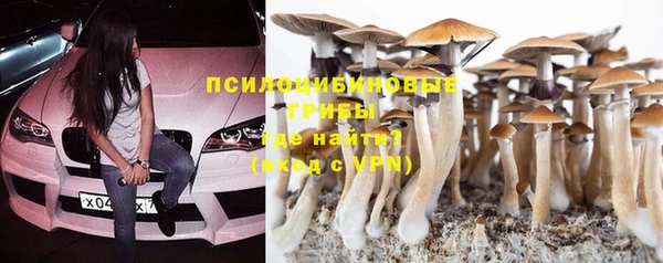 дживик Алзамай