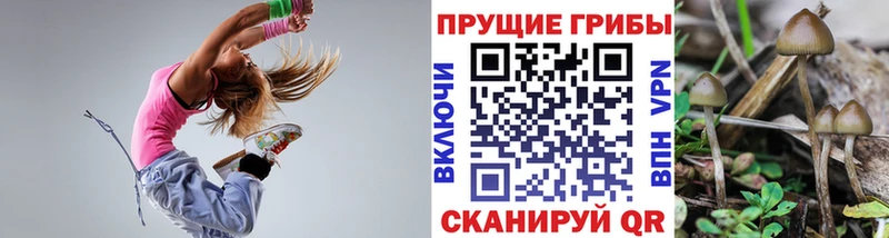 Галлюциногенные грибы ЛСД  Палласовка 